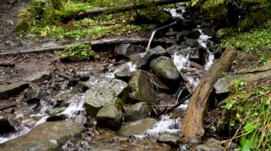 Vahşi dağ nehri taş kayaların arasından akıyor. Karpatlar 'da bol miktarda temiz dere var. Nehrin kenarına soğuk su sıçrıyor. Ulusal parktaki kayalardan küçük bir taşma. Su arkaplanı kavramı