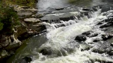 Probiy şelalesindeki Ukrayna Karpatları 'nın fırtınalı su akıntısı. Kristal saf su dağ geçidinde akıyor. Görüntüler, mırıldayan suyun orijinal sesini içeriyor..
