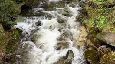 Vahşi dağ nehri taş kayaların arasından akıyor. Karpatlar 'da bol miktarda temiz dere var. Nehrin kenarına soğuk su sıçrıyor. Ulusal parktaki kayalardan küçük bir taşma. Su arkaplanı kavramı
