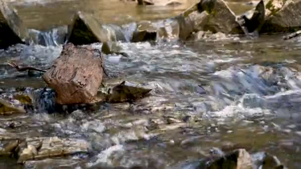 Fiume Selvaggio Montagna Che Scorre Attraverso Massi Pietra Abbondante Flusso — Video Stock