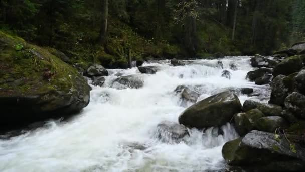 Dzika Górska Rzeka Przepływająca Przez Kamienne Głazy Pełen Czysty Strumień — Wideo stockowe