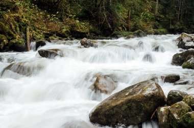 Fırtınalı dağ nehri dağların yükseklerindeki vadi boyunca akar. Su arkaplanı kavramı