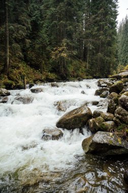 Fırtınalı dağ nehri dağların yükseklerindeki vadi boyunca akar. Su arkaplanı kavramı