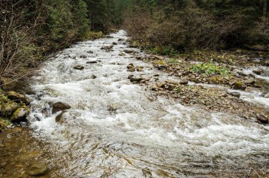Fırtınalı dağ nehri dağların yükseklerindeki vadi boyunca akar. Su arkaplanı kavramı