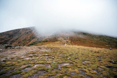Karpatlar 'da altın sonbahar. Madencilik dizileri ağaçlarla ve sarı yapraklarla birleştirildi. Güzel bulutlar ve güneş. Doğal bir arkaplan görüntüsü. Toprağın güzelliğini keşfedin.