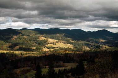Karpatlar 'da altın sonbahar. Madencilik dizileri ağaçlarla ve sarı yapraklarla birleştirildi. Güzel bulutlar ve güneş. Doğal bir arkaplan görüntüsü. Toprağın güzelliğini keşfedin.