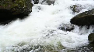 Vahşi dağ nehri taş kayaların arasından akıyor. Karpatlar 'da bol miktarda temiz dere var. Nehrin kenarına soğuk su sıçrıyor. Ulusal parktaki kayalardan küçük bir taşma. Su arkaplanı kavramı