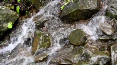 Vahşi dağ nehri taş kayaların arasından akıyor. Karpatlar 'da bol miktarda temiz dere var. Nehrin kenarına soğuk su sıçrıyor. Ulusal parktaki kayalardan küçük bir taşma. Su arkaplanı kavramı