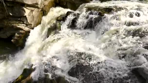 Stormig Ström Vatten Ukrainska Karpaterna Vid Det Förbjudna Vattenfallet Kristallrent — Stockvideo