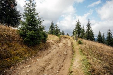 Ağaçların arasındaki dağ yolu ve Karpat Dağları 'ndaki açık alanlar. Güzel doğa manzarası. Karpat Dağları. Ukrayna
