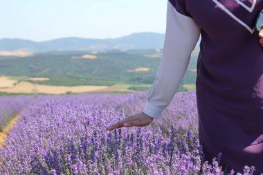 Doğada mis kokulu lavanta bahçesi