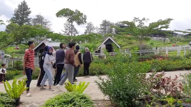인도네시아 2024년 휴일에 시루캄 낙농장 마을을 방문하는 사람들 — 비디오