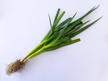 Kökleri beyaz arkaplanda sergilenen taze yeşil soğanın yakın çekimi. Yemek, mutfak ve sağlıklı yaşam tarzı kavramları için idealdir.