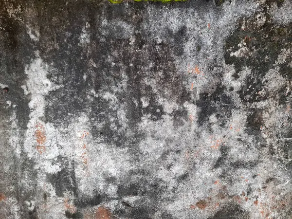 Küf, yosun ve soyulmuş boyayla yıpranmış eski duvarı kapatın. Grunge dokusu tasarım, kaplama veya sanatsal kullanım için mükemmel bir arkaplan