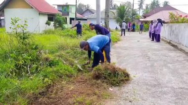 Pariaman, Endonezya - 28 Mayıs 2025: Naras Hilir köyündeki bir temizlik etkinliği sırasında geleneksel orak kullanarak yol kenarı çimlerini kesen erkek işçiler
