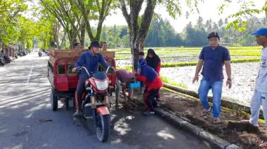 Pariaman, Endonezya - 11 Haziran 2025: Cubadak Hava Köyü 'ndeki sokak temizleme çalışmaları sırasında vatandaşlar üç tekerlekli bir arabaya kesilmiş yaprak ve ot yüklüyorlar