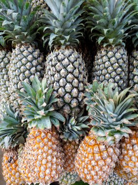 Olgun ve olgunlaşmamış ananaslar bir araya toplanmış. Dikenli yeşil yaprakları ve desenli teni olan tropikal meyveler geleneksel pazar ortamında sergilenmektedir.