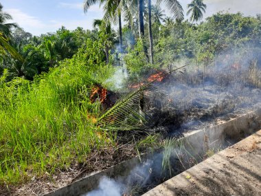 Yol kenarındaki bir çimen yangını, haftalarca yağmursuz kaldıktan sonra yanan atıklar ve sıcak havanın yol açtığı tropikal bir bölgedeki kuru bitki örtüsü boyunca yayılır.
