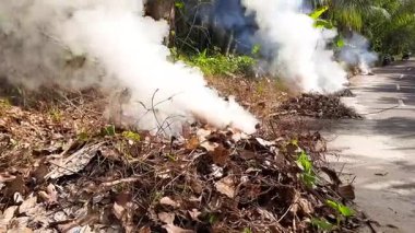 Yol kenarındaki kuru yapraklar ve otlar yüzünden yoğun duman yükseliyor. Tropik Endonezya 'da kuru havada hendek ve yol kenarlarını temizlemek için hızlı bir yöntem.