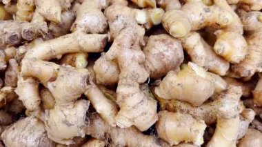 Taze toplanmış zencefil köklerinin üst görüntüsü. Çiğ ve yıkanmamış kızıl, doğal toprak dokusuna sahip, genel olarak pişirmede, bitkisel ilaçlarda ve geleneksel tıpta kullanılır.