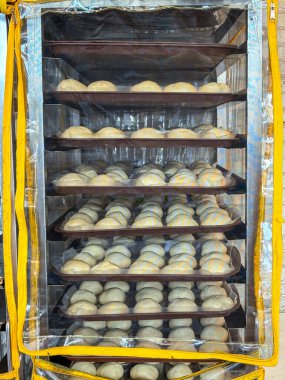 Ham ekmek hamuru, bir yemek fırınında pişirilmeye hazır bir rafın içindeki tepsilerde hazırlandı. Hamur, kontrollü fermantasyon için şeffaf plastik bir örtü altında yükseliyor.