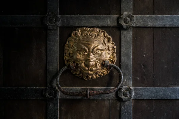 Golpeador Puerta Rústico Forma Cabeza León Pintado Oro Una Antigua Fotos De Stock