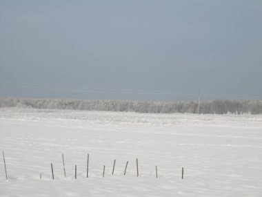 Kış manzarası karla kaplı bir tarla
