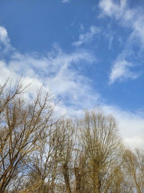 Gece gökyüzüne karşı dekoratif cepheli modern bir gökdelen..