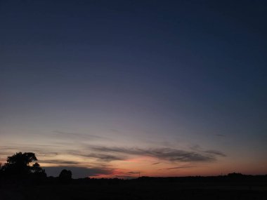 Yeşil bir bitki yaprağının üzerinde parlayan çiğ damlalarının yüzey detaylarını ve dokusunu gösteren yakın çekim bir makro fotoğrafı.