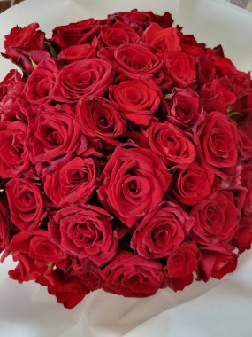 Taze kırmızı güller, bol desenli taç yaprakları ve koyu renk tonlarıyla..