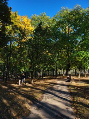 Şehir parkı manzarası, banklar, ağaçlar ve sakin bir sonbahar gününün tadını çıkaran insanlar.
