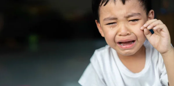 Portrait of a crying baby Asian boy.  Sad offended little boy. Crying sad children concept.