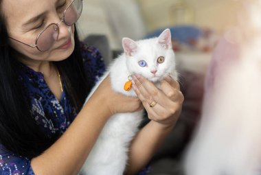 Sıradan giyinmiş Asyalı bir kadının iki gözlü şirin kediyi kucaklayıp okşayan ve öpen hayat tarzı fotoğrafı. Kedi yavrusu kızların kollarında olmaktan hoşlanıyor. Seçici odak.