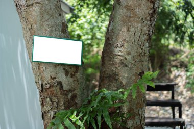 Mesaj bırakmak için bir ağaca iğnelenmiş ilan levhası boş. Ahşap zemin üzerine boş kağıt