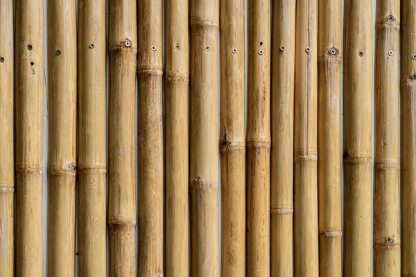 黄竹栅栏纹理 竹子特写 漂亮的背景图案 — 图库照片