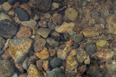 Sudaki şelale taşları. Suyun altındaki çakıl taşları. Yukarıdan manzara. Deniz arkaplanı.