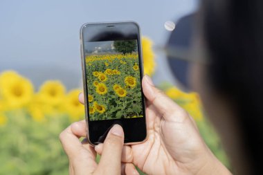 Elleriniz cep telefonu tutsun ve arka planda güneş ışığıyla renkli bir fotoğraf çekin. Seçici odak.