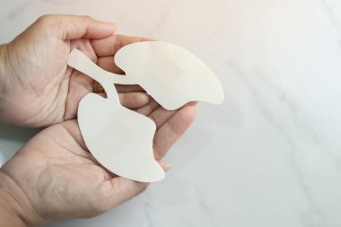 Women's hands hold a lungs symbol on white background. World Tuberculosis Day. Healthcare, medicine, hospital, diagnostic, internal donor organ. Top view clipart