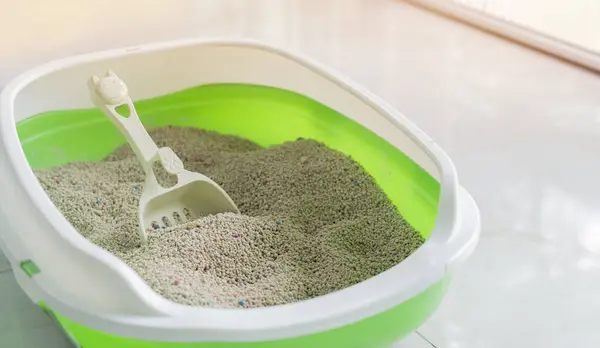 stock image Light green cat litter tray put on the floor and beige litter and a scoop with copy space. Selective focus, Cat sandbox concept.