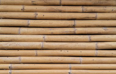 Sarı bambu dokusu. Kurumuş bambu duvarı ya da çit arkası. Arka plan için eski kahverengi bambu çit dokusu.