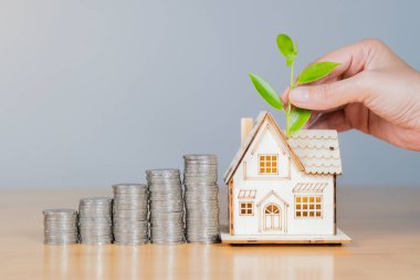 Para desteleri ve el ele tutuşan yeşil bitkileri olan ev modeli. Konsept yatırım için kaydediliyor