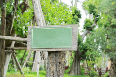 Ormanda boş tahta tabela. Ormandaki panolar. Ağaçların içinde tahta taklidi yap. Açık hava. Boşluğu kopyala.