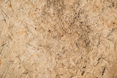 Ahşap güvertenin arka planı