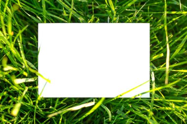 Yeşil, canlı çimenler üzerine beyaz kağıdın üst görüntüsü. Yazı için düzenle