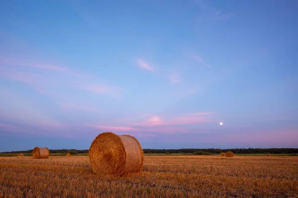 Evening picture during the blue hour of straw bales with rising moon on the background. Calm rural landscape