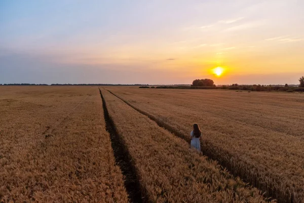 Μοναχικό Κορίτσι Που Περπατάει Στο Χωράφι Σίκαλη Ηλιοβασίλεμα Ήρεμη Βραδιά — Φωτογραφία Αρχείου