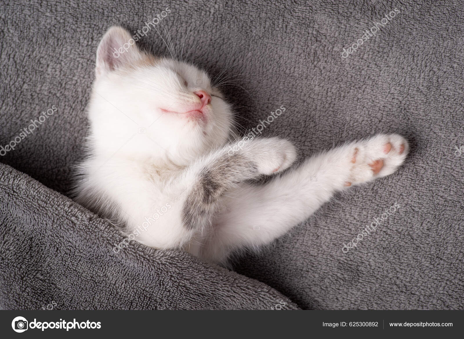 Sleeping Cat Fleece Throw Super Soft Pet Blanket: Washable Coral