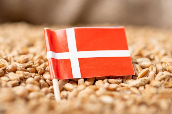 Buğday Tanecikli Danimarka Bayrağı Danimarka Buğday Yetişiyor — Stok fotoğraf