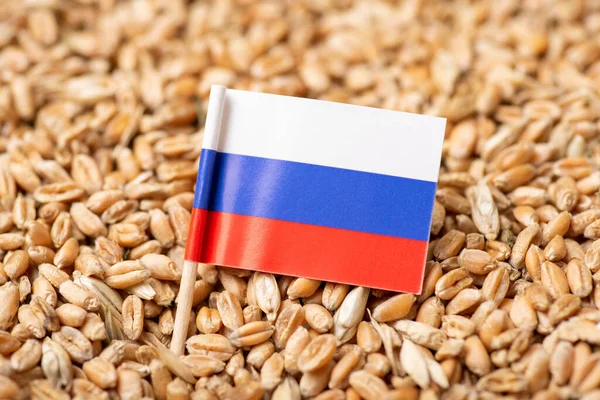 Rysslands Flagga Vetekorn Begreppet Ryskt Vete — Stockfoto