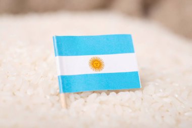 Pirinç tanecikli Arjantin bayrağı. Pirinç kavramının kökeni, Arjantin 'de tarım sektörü